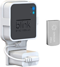 256GB USB Flash Drive for Local Video Storage with the Blink Sync picture