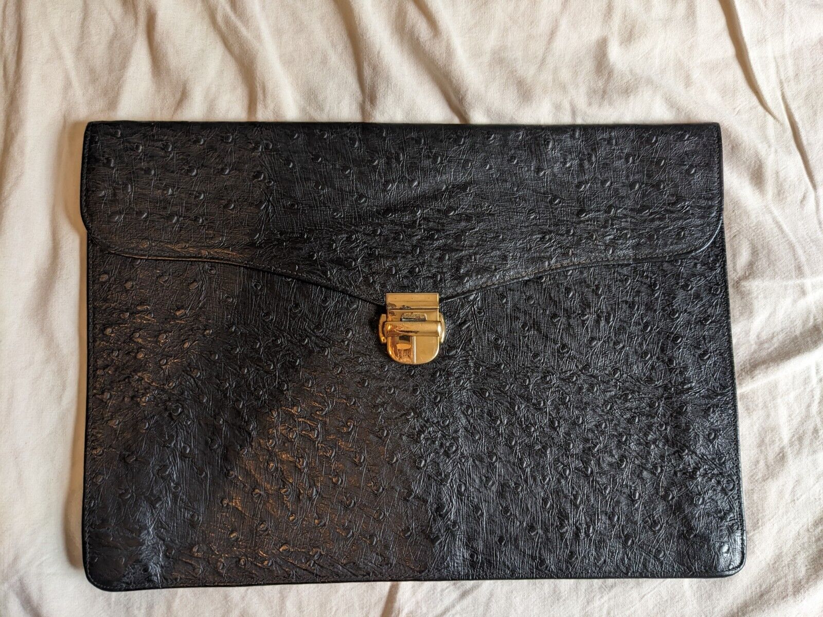 Vintage 80s Luxury Ostrich Calf Leather Document Macbook Laptop Tablet Case Bag 