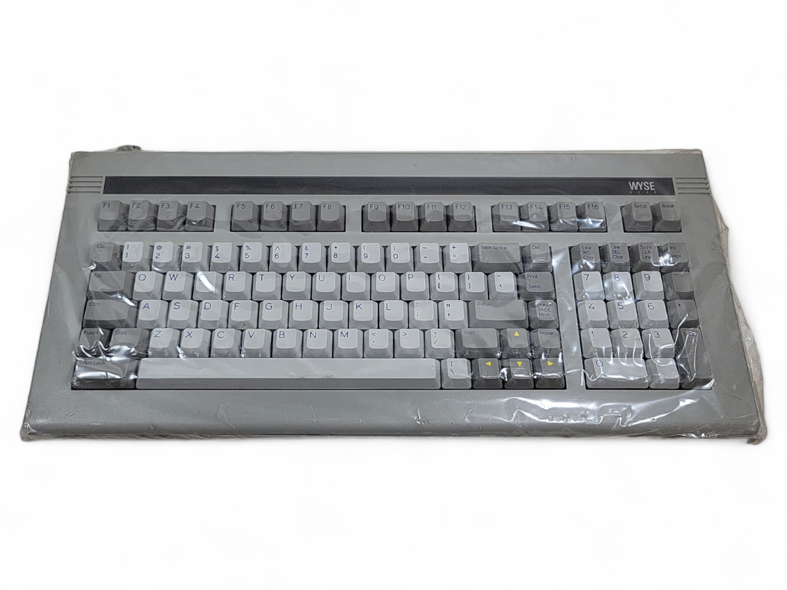 Wyse WY60 Vintage Cherry MX Black Switch ASCII Terminal Keyboard 840338-01