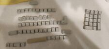 Apple Macintosh ASK M0116 Vintage Keyboard Alps Keycaps (INCOMPLETE) picture