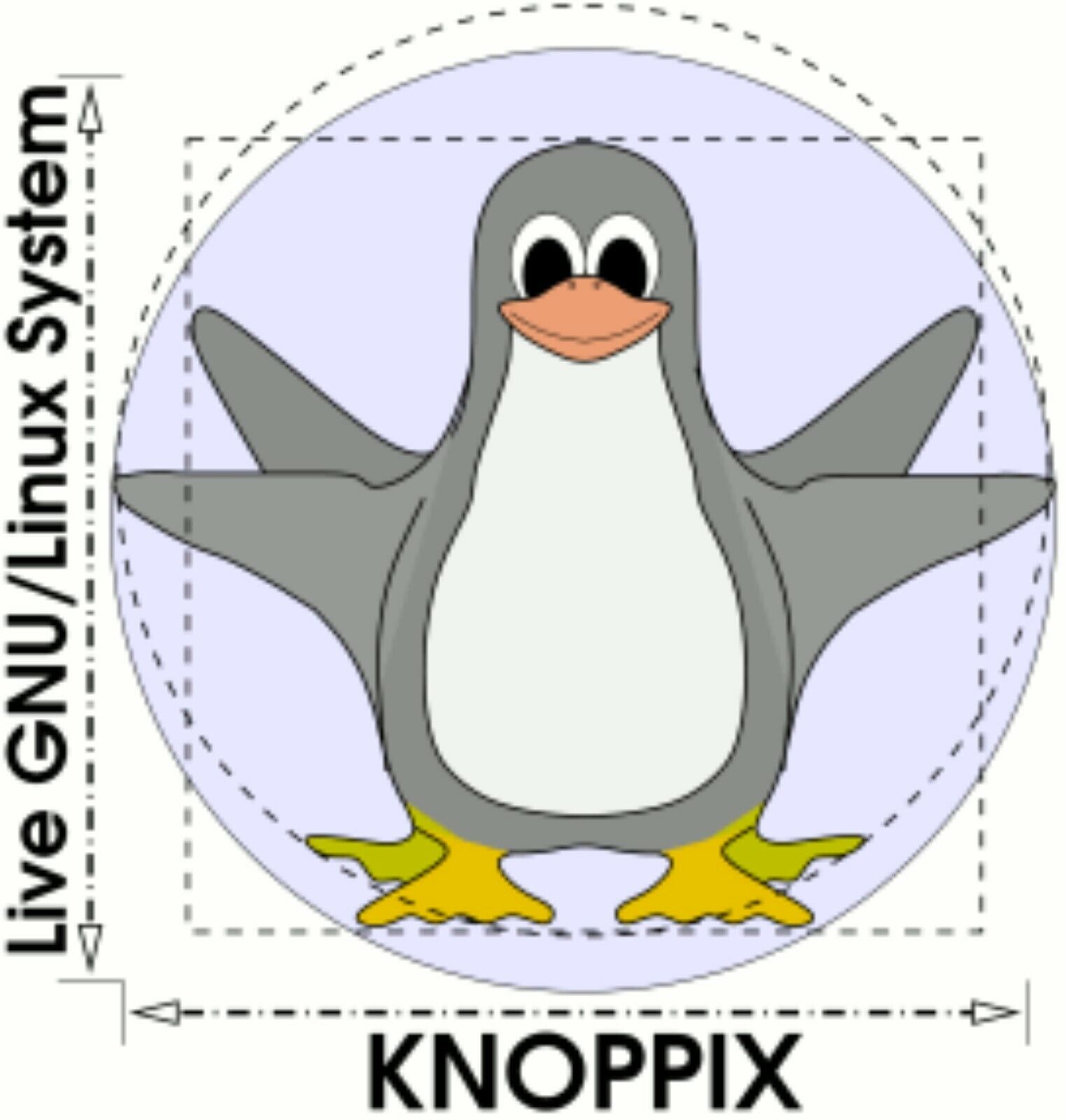 Knoppix Live GNU Linux System 9.1 on Bootable CD / DVD / USB Flash Drive