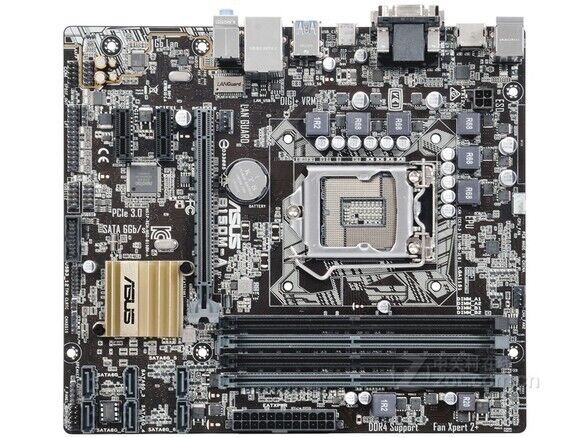 B150M-A ASUS Intel B150 LGA1151 motherboard micro ATX ddr4 hdmi USB Type-C dvi
