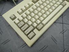 Chicony Electronics KB-5311 Mechanical Keyboard AT/XT Mainframe picture