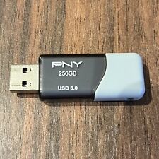 PNY 256GB Turbo Attache USB 3.0 Flash Drive picture