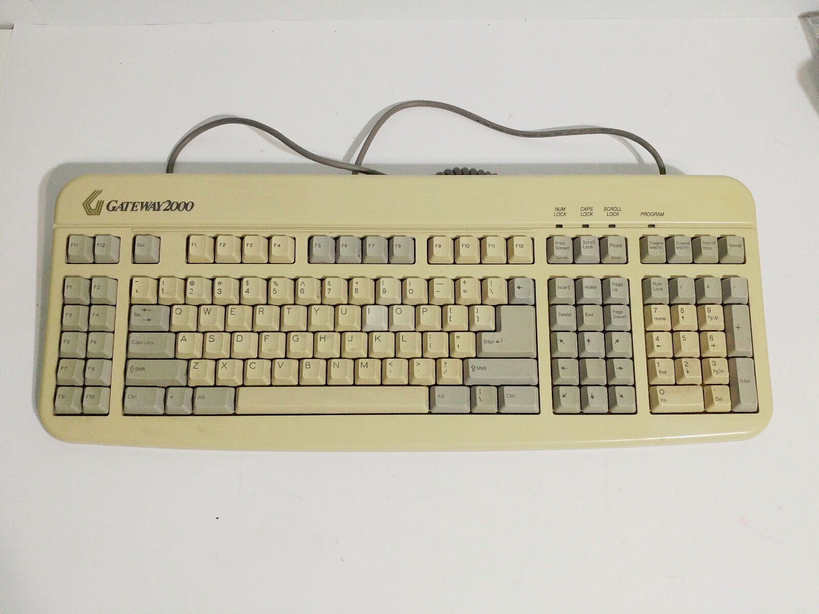 Vintage Gateway 2000 AnyKey Programmable Keyboard 124-Key PS/2 Working