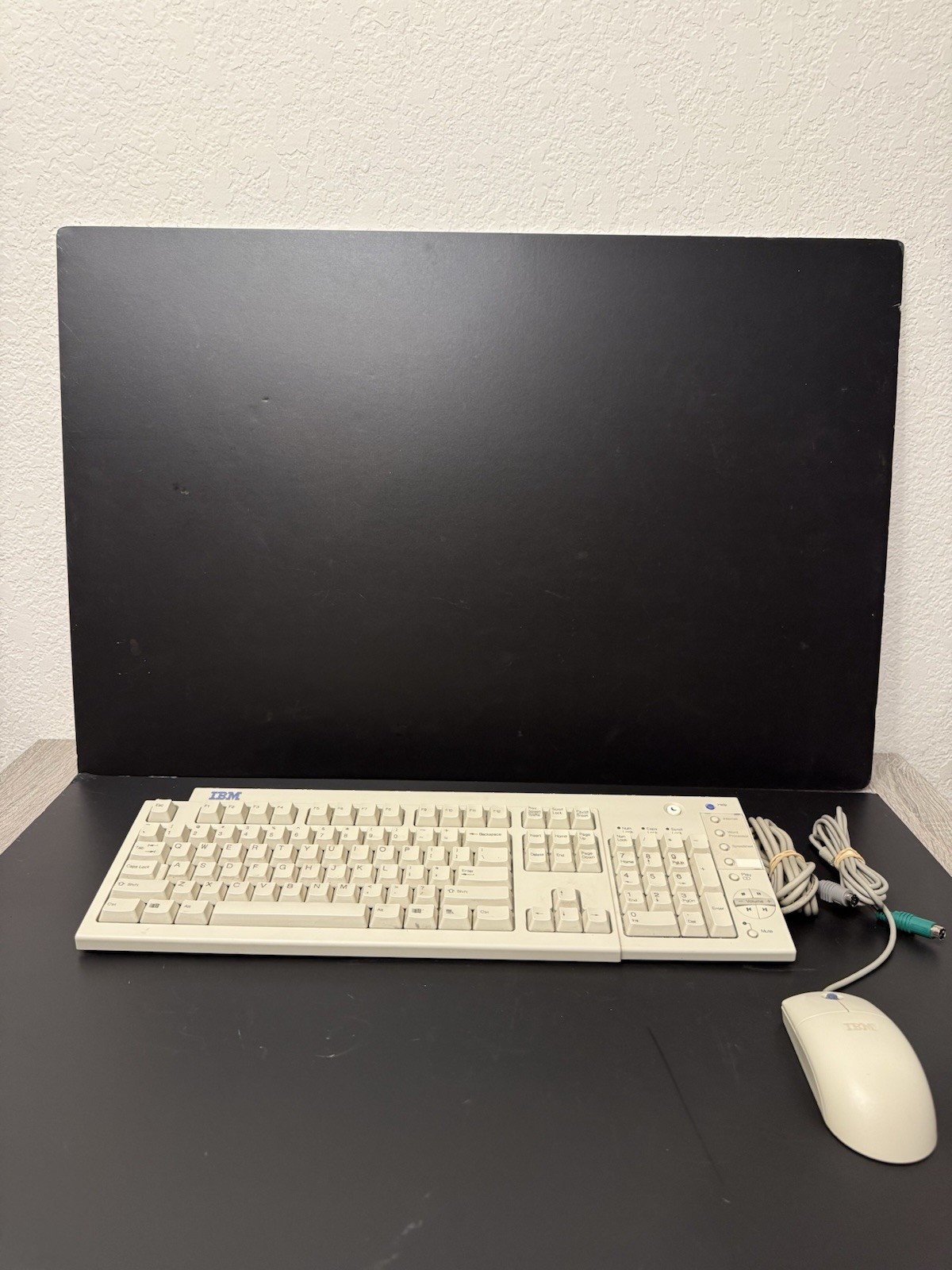 Vintage IBM KB-7993 Multimedia PS/2 Keyboard & IBM 12J3618 Mouse Retro PC