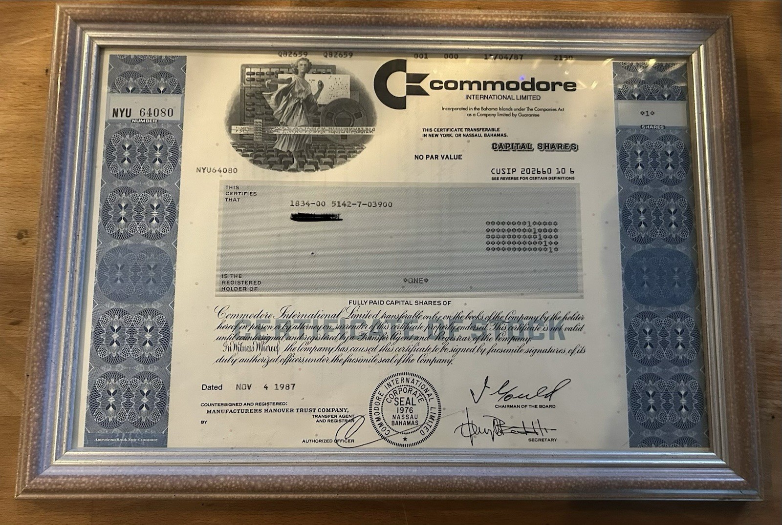 Commodore Stock Very Rare PC Collectors Commodore Stock Very Rare PC Collectors
