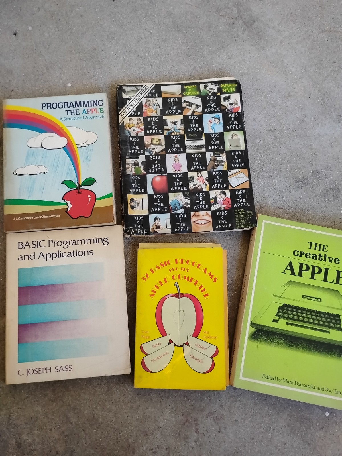 VINTAGE COMPUTER MANUALS BOOKS  Program Writing Applications APPLE 