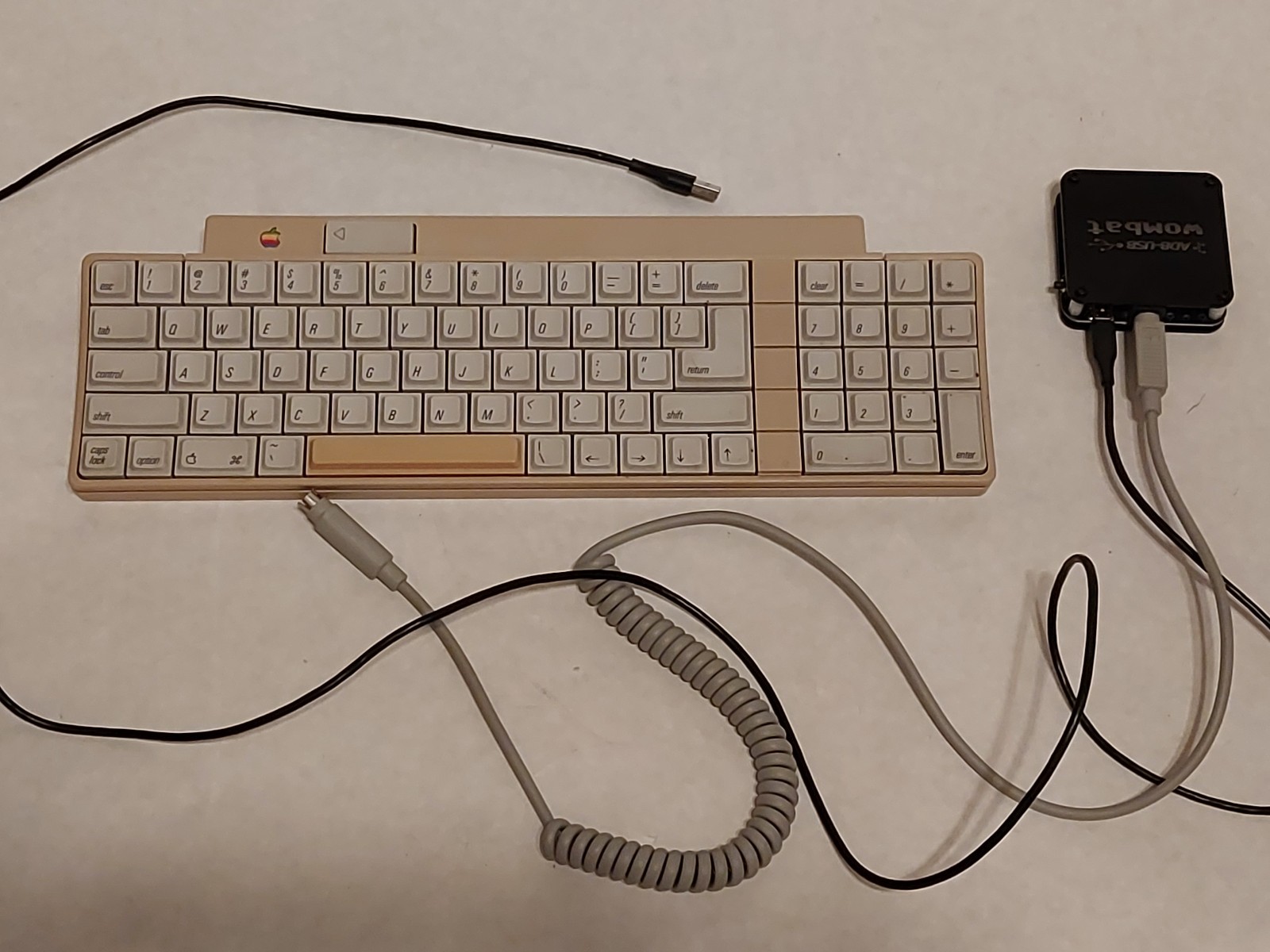 Vintage Apple IIgs Keyboard 658-4081 Orange Alps Switches + Wombat Adapter, Read