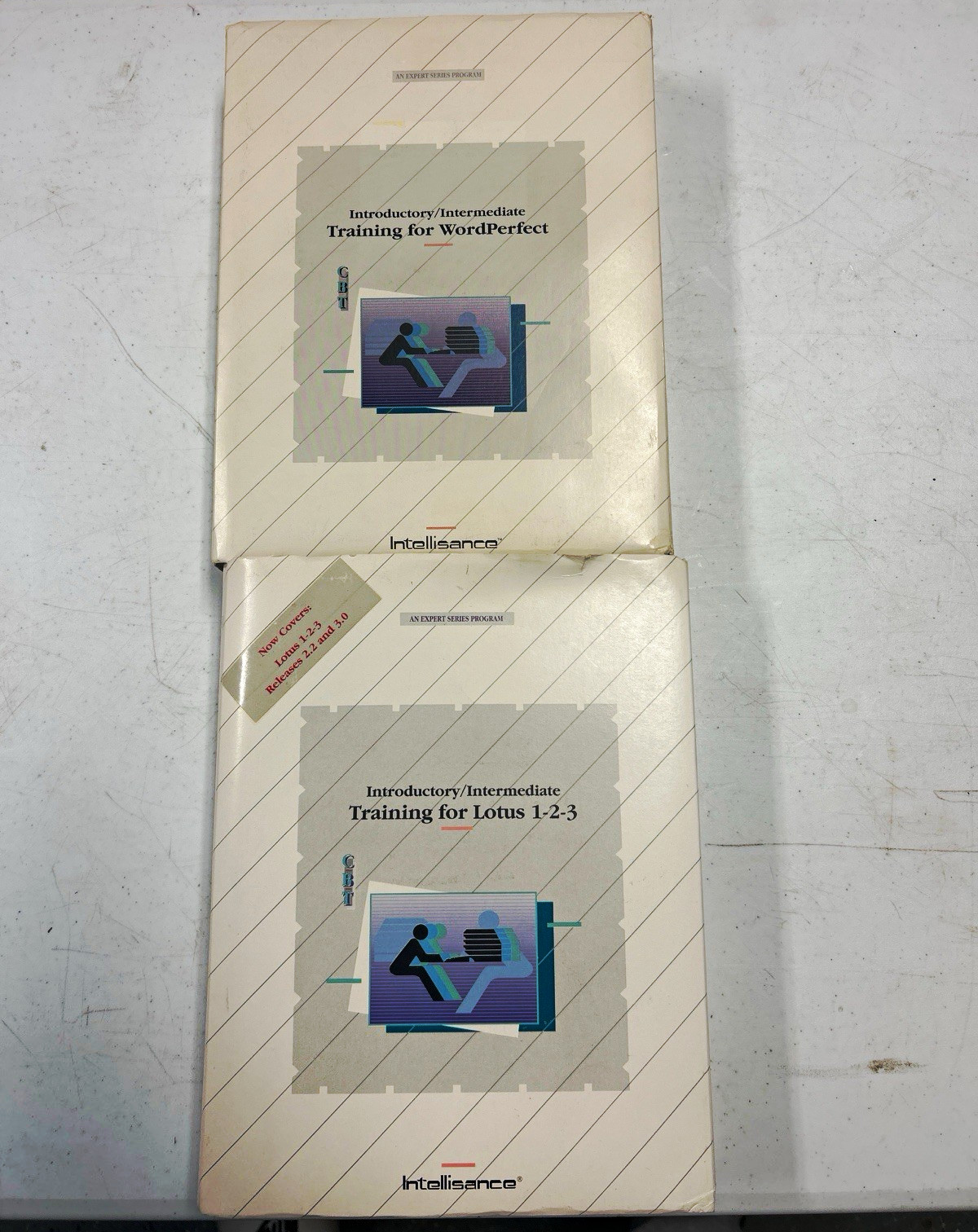 Lot of 2 Vintage Intellisance Training Software IBM PC - Lotus 1-2-3 & WordPerfe
