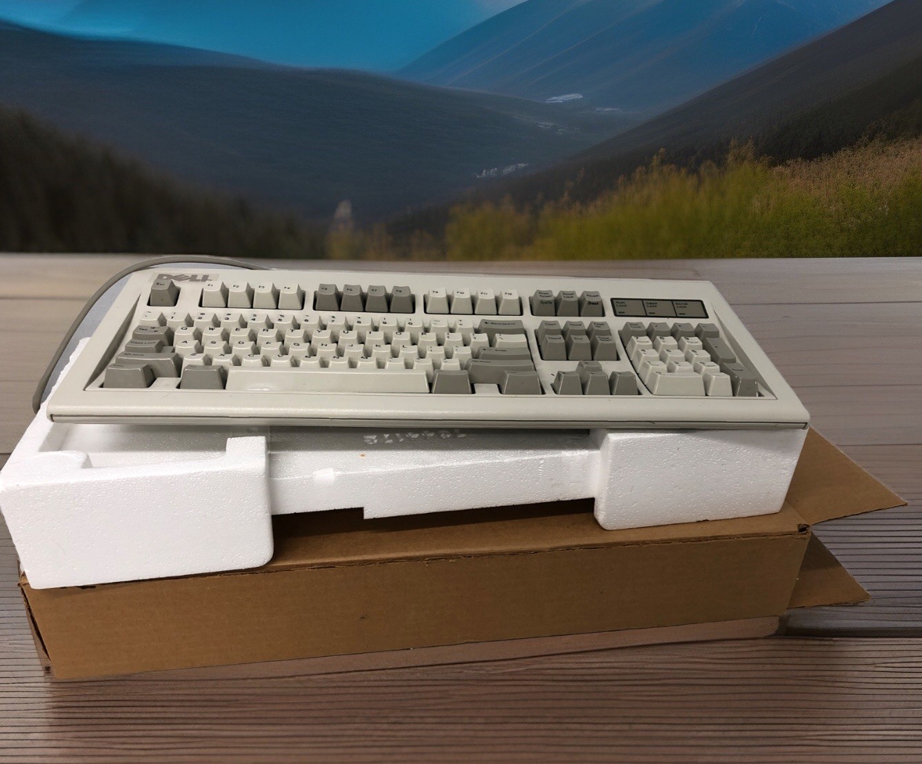 RARE Vintage Retro Dell AT101 Keyboard Model M PS/2 Connector - NEW RARE Vintage Retro Dell AT101 Keyboard Model M PS/2 Connector - NEW