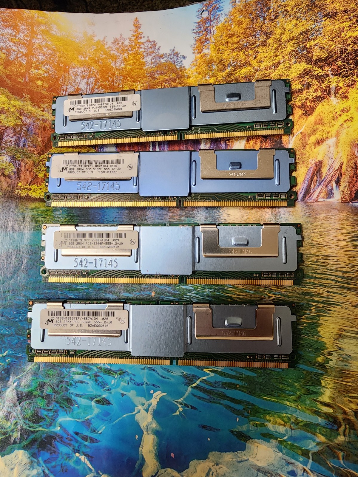 Lot of 4 Micron 8GB PC2-5300F 2Rx4 MT36HTS1G72FY-667A1D4 ECC DDR2 or HTF Lot of 4 Micron 8GB PC2-5300F 2Rx4 MT36HTS1G72FY-667A1D4 ECC DDR2 or HTF