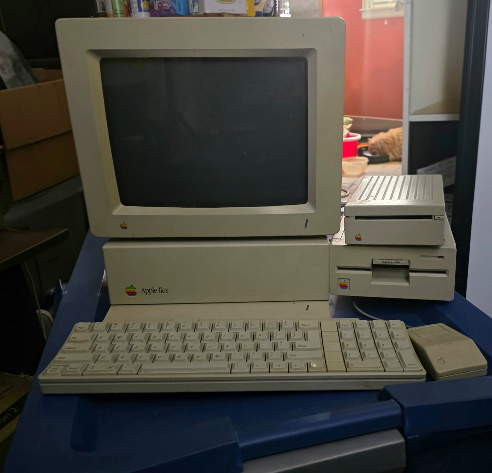 Apple IIgs Vintage Home Computer System w/ Monitor Keyboard Mouse & Disk Drives