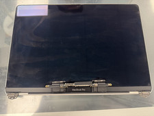 Apple OEM Replacement Screen for MacBook Pro A2289 Silver picture