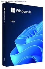 889842966176 Windows Pro 11 64bit ENG USB Flash Drive Box HAV-00163 Successor of picture