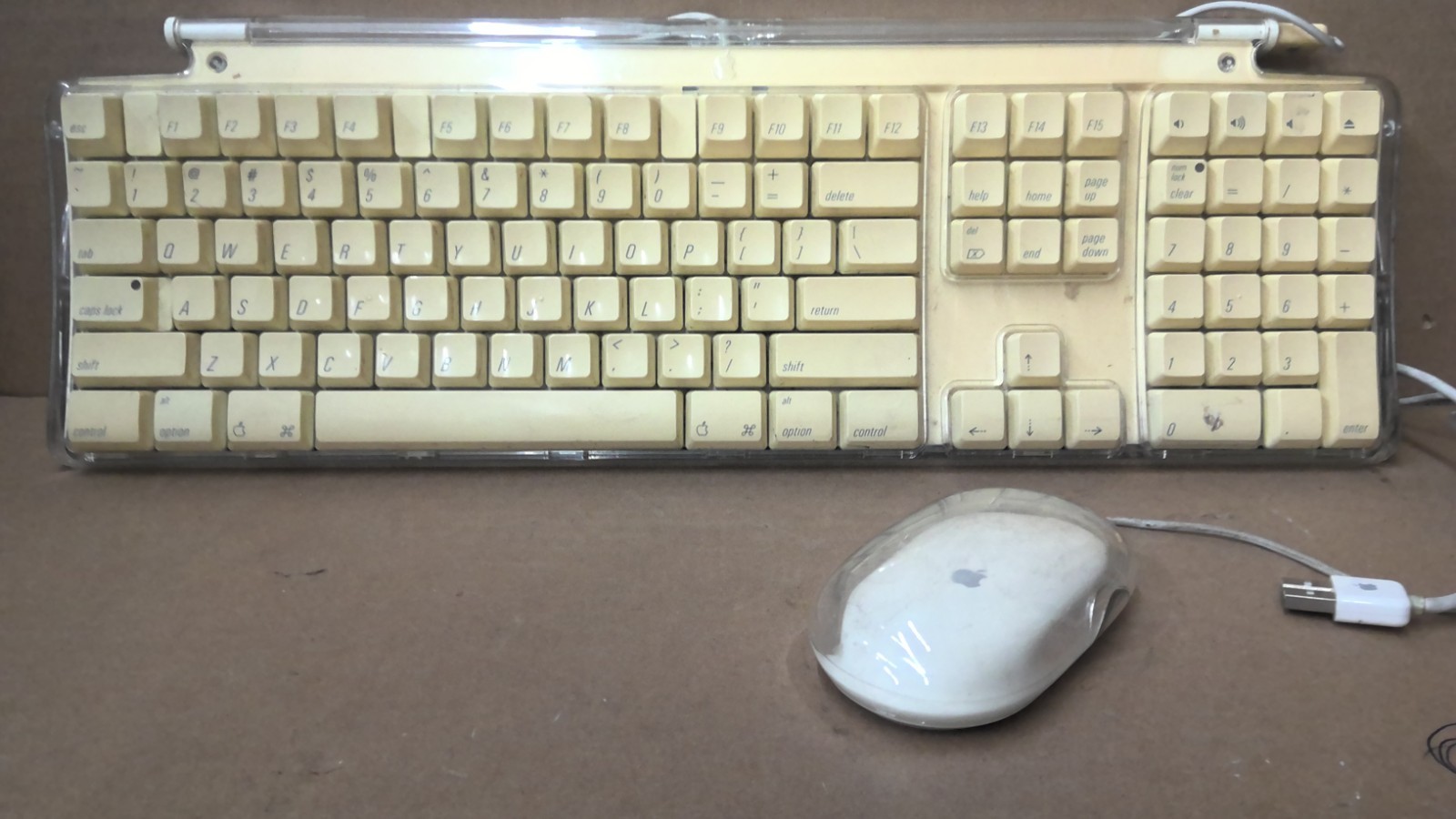 Apple Pro Keyboard M7803 Clear Jelly Vintage Mac with Mouse