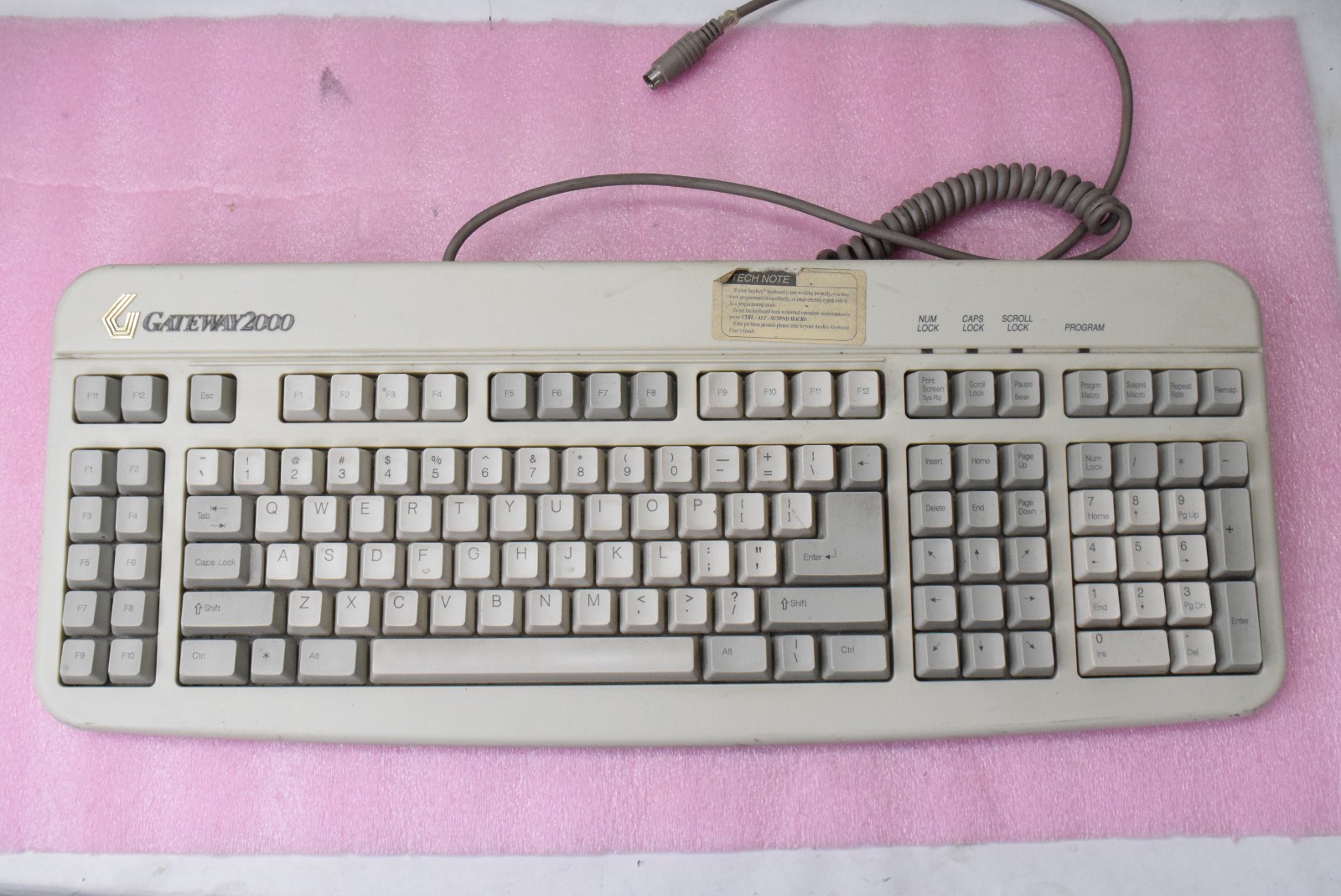 Vintage Gateway 2000 Anykey 2194001-00-002 PS/2 Keyboard - TESTED
