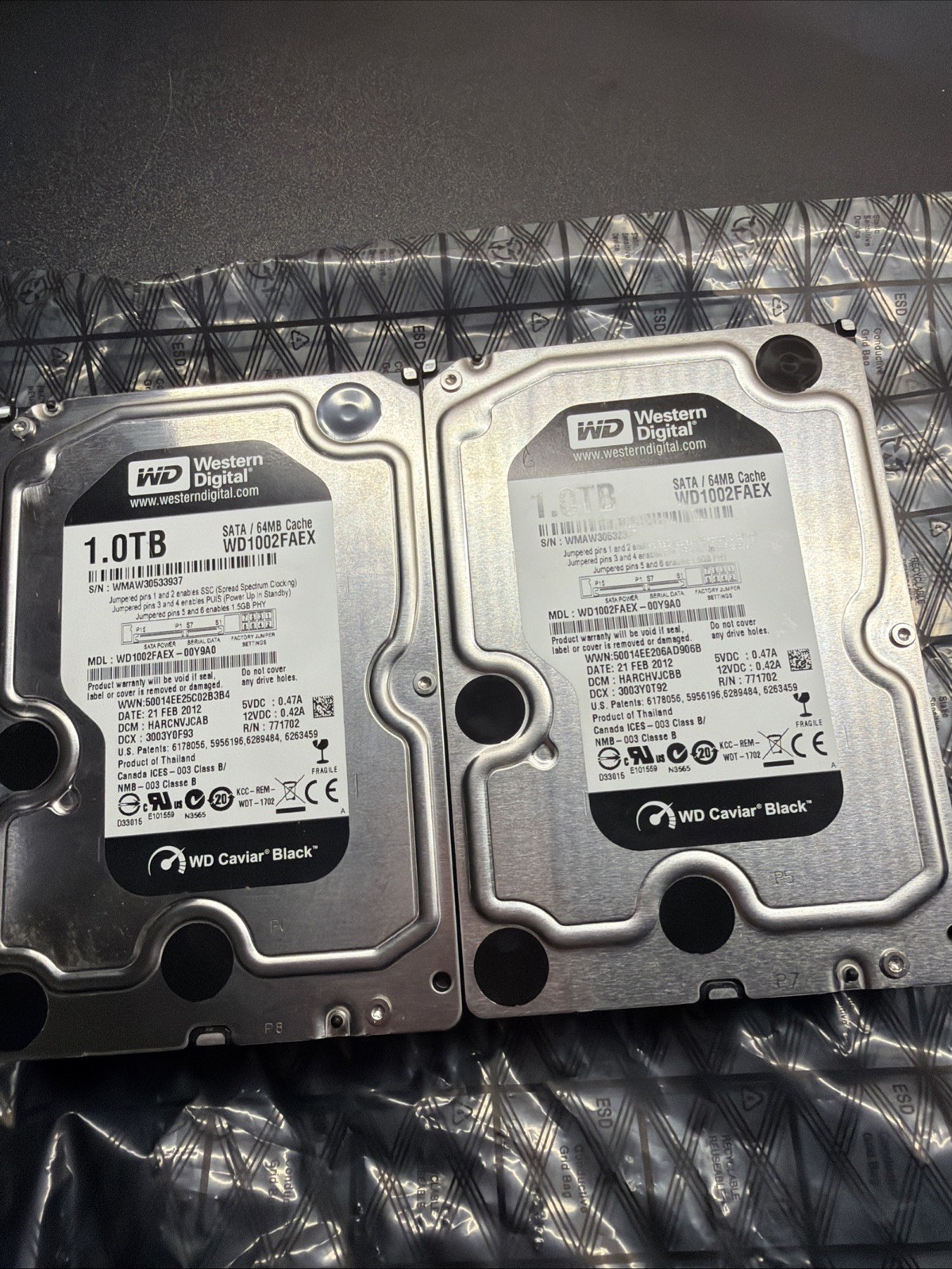 Lot of 2 Western Digital Black SATA 3.5\ Lot of 2 Western Digital Black SATA 3.5\