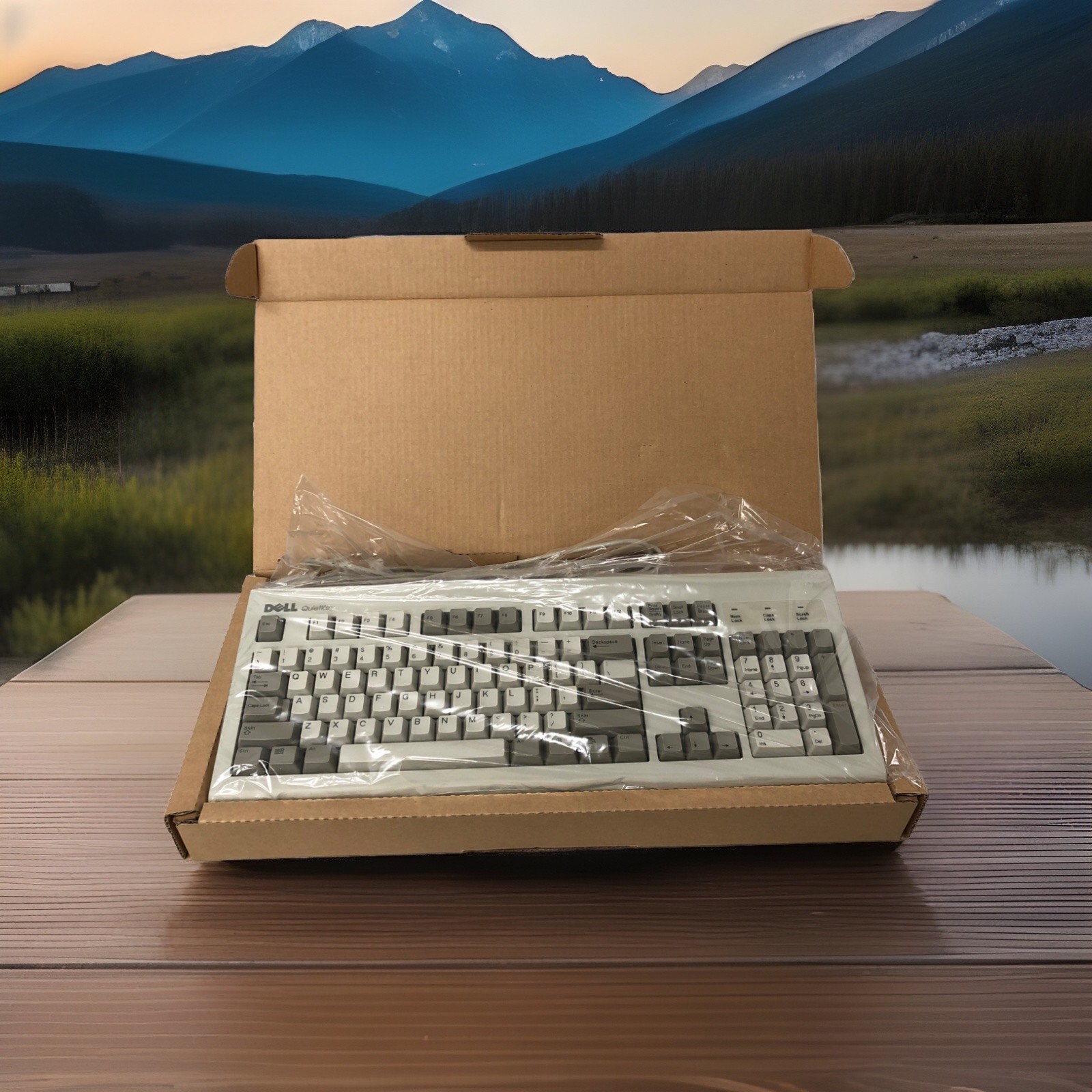 Vintage Dell QuietKey Keyboard SK-8000 Beige PS/2 Wired ~ NEW~